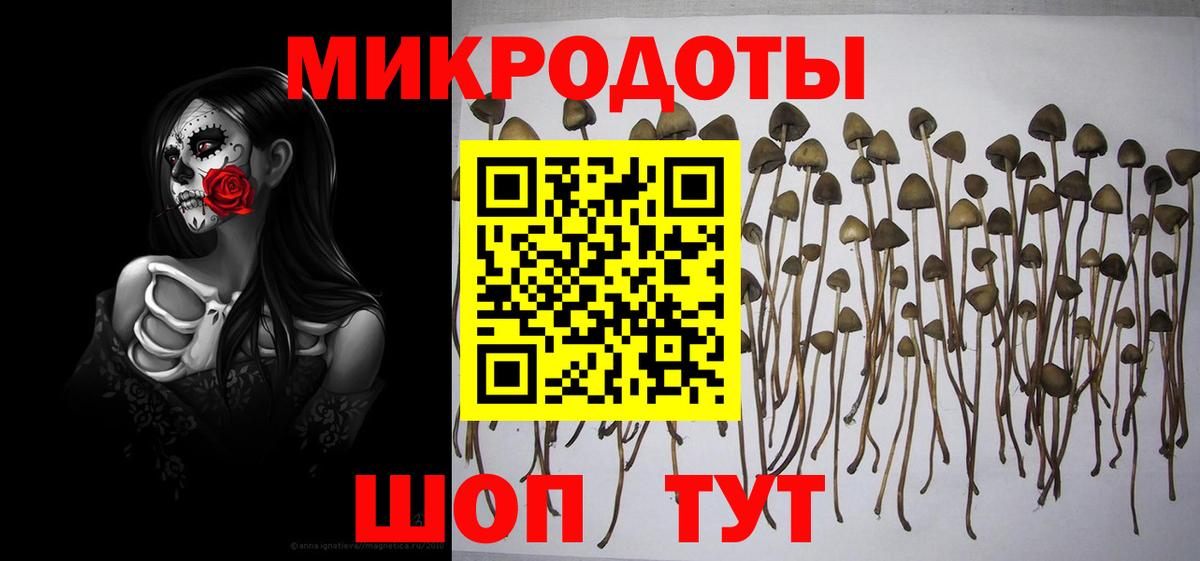 Галлюциногенные грибы ЛСД  Вход с VPN  Галлюциногенные грибы GOLDEN TEACHER  Тулун 