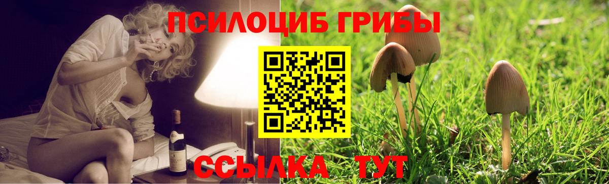 Тулун  ГАШ  КОКАИН  Вход с VPN  Канабис  Мефедрон  