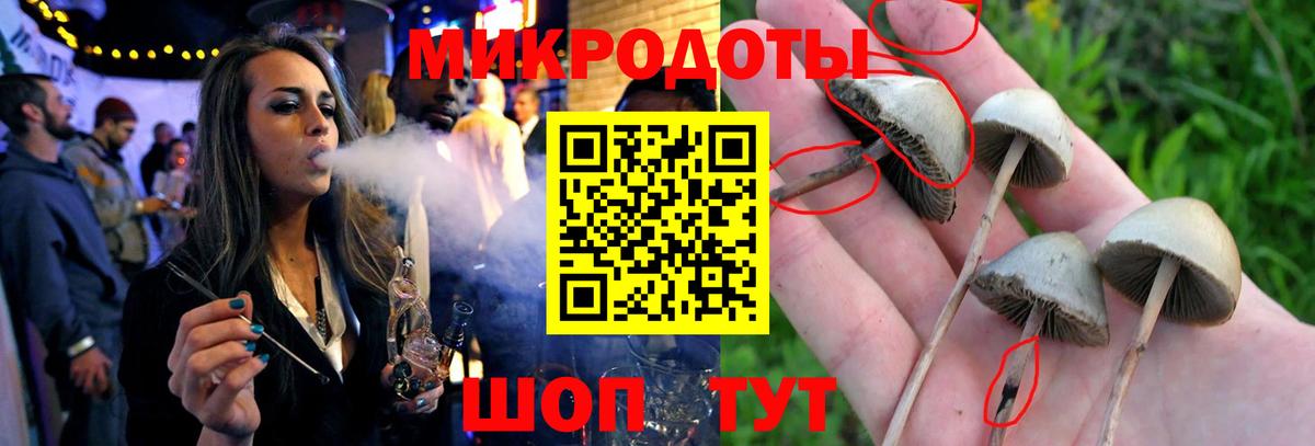 Псилоцибиновые грибы ЛСД Тулун